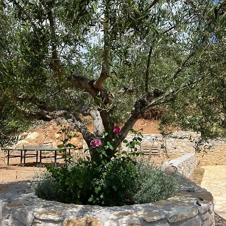 Maher One * Vasilítsion