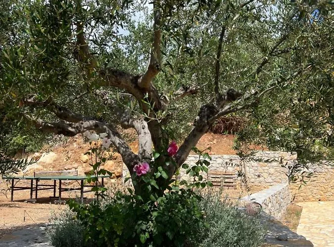 Maher One * Vasilítsion